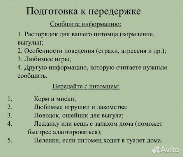 Передержка домашних питомцев