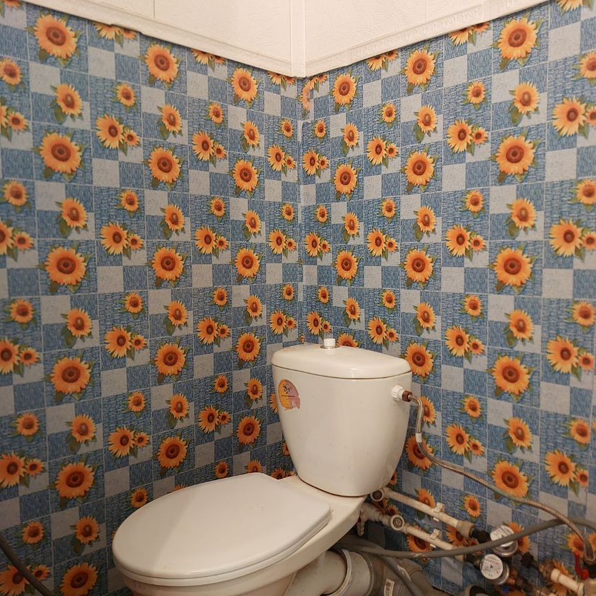 Квартира 1-комн. 30.9 м² в рп Кадуй — фото 14 из 29