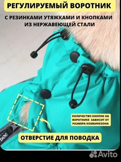 Зимний комбинезон для собак (кобель)