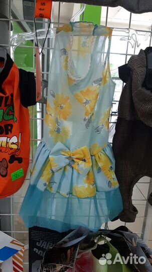 Одежда для маленьких собак