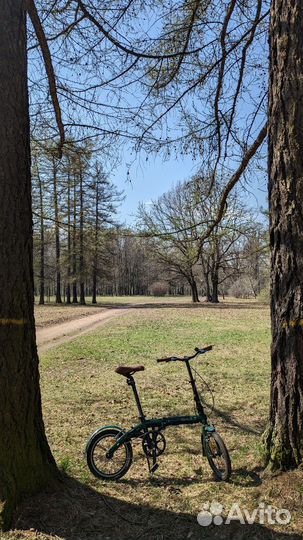 Велосипед shulz hopper зелёный 2021