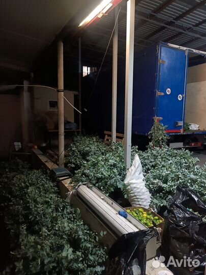 ГАЗ ГАЗель 3221 2.9 МТ, 2010, 455 000 км