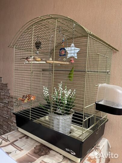 Клетка для птиц