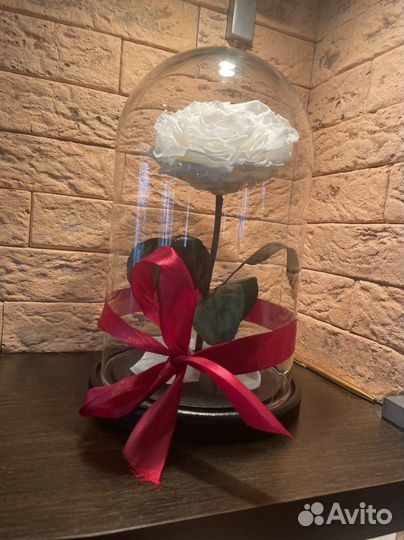 Вечная роза в колбе