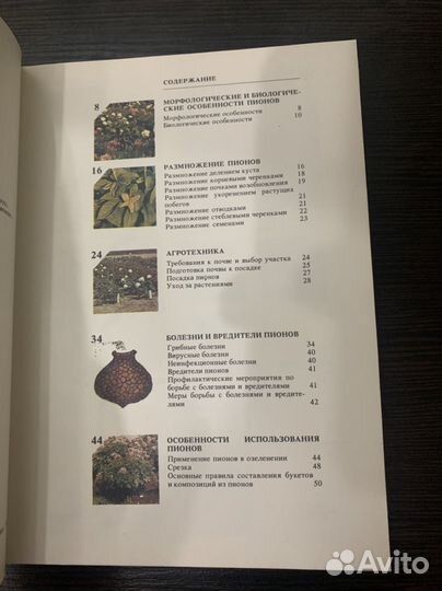 Книга пионы 1985