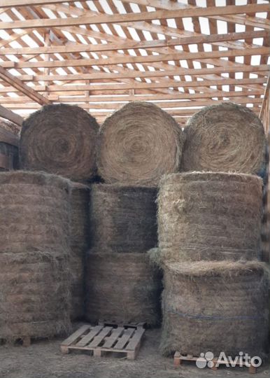 Сено в рулонах 2023