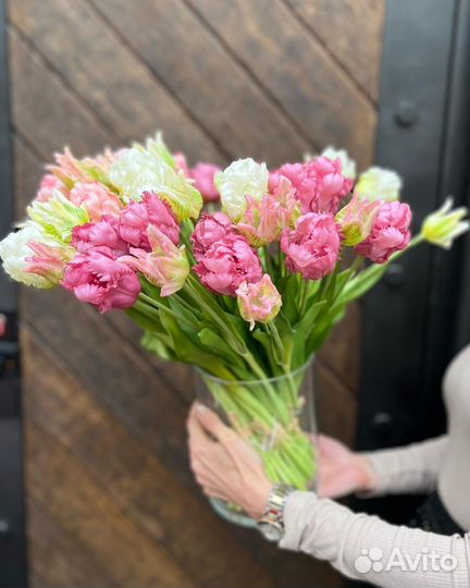 Тюльпаны махровые