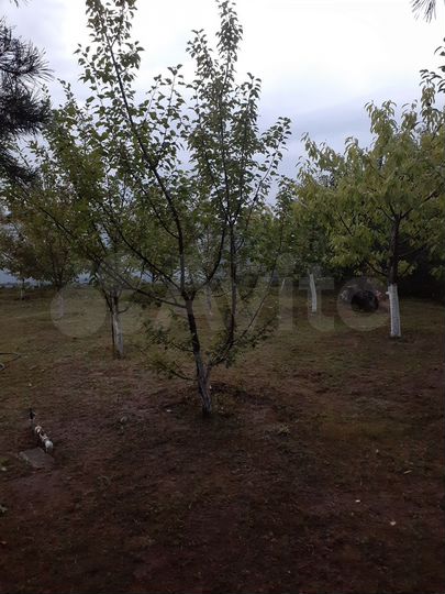 Дача 68 м² на участке 12 сот.