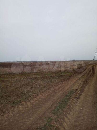 Участок 17 сот. (СНТ, ДНП)