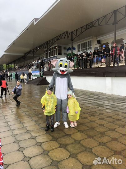 Аниматоры на день рождения