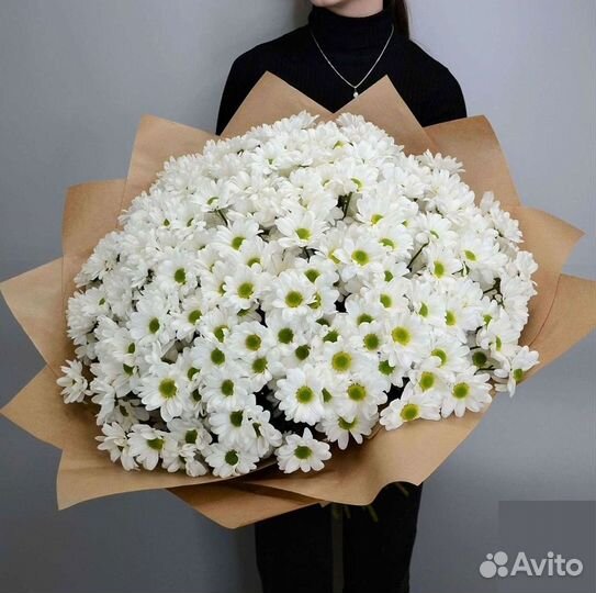 Хризантема Доставка цветов