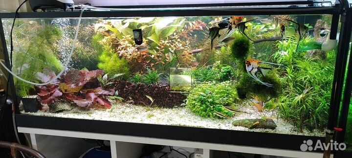 Аквариум с тумбой 390л
