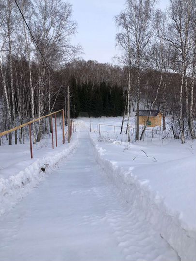 Участок 11,5 сот. (СНТ, ДНП)