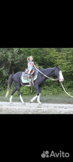 Конные прогулки