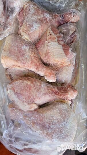 Голень индейки