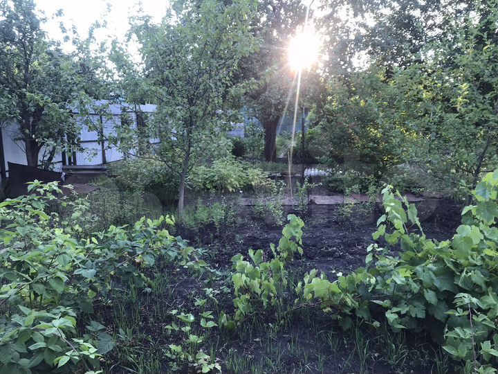 Дача 20 м² на участке 6 сот.