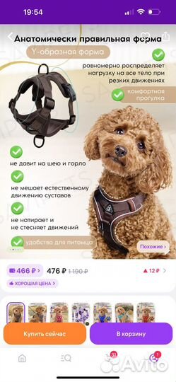 Для собак мелких и средних пород