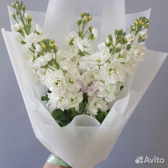 Букет ароматной Матиолы. Доставка