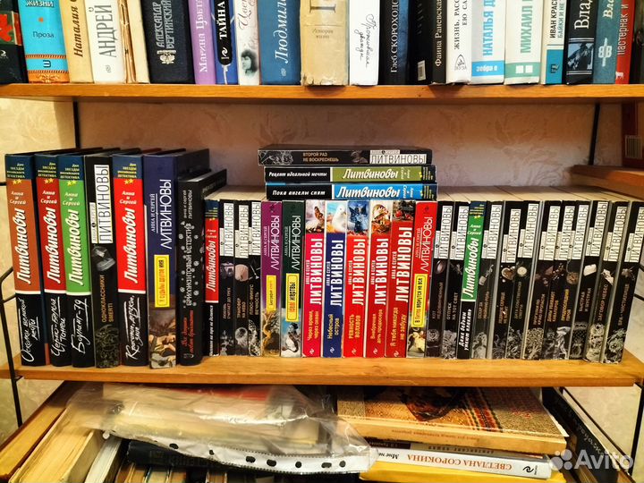 Книги Анны и Сергея Литвиновых