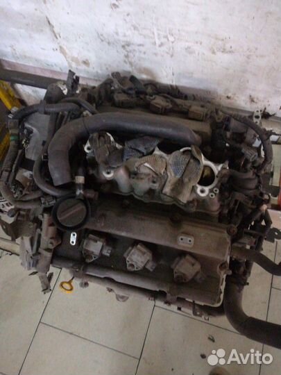 Vq25dd Ниссан цефиро pa33