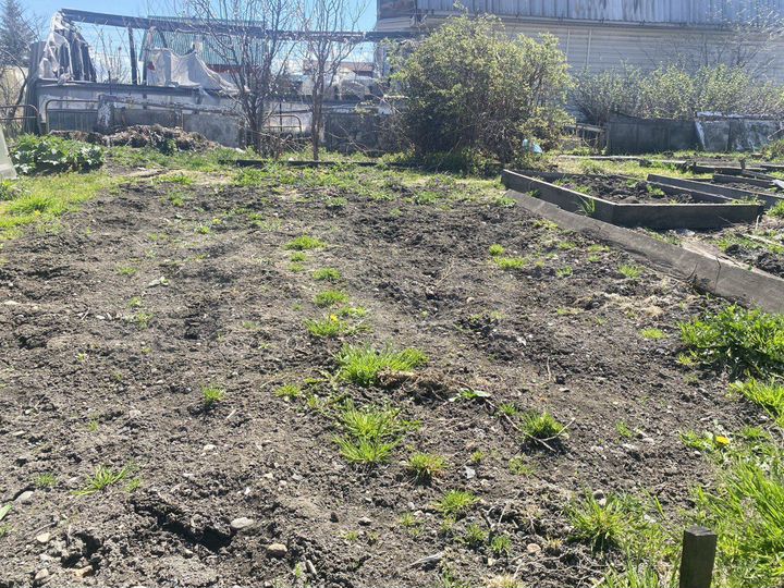 Участок 5,2 сот. (СНТ, ДНП)