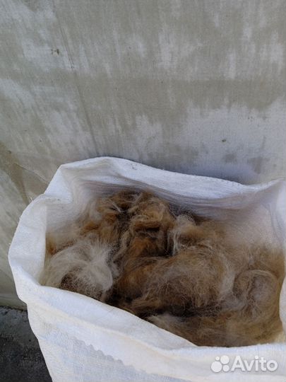 Шерсть собачья