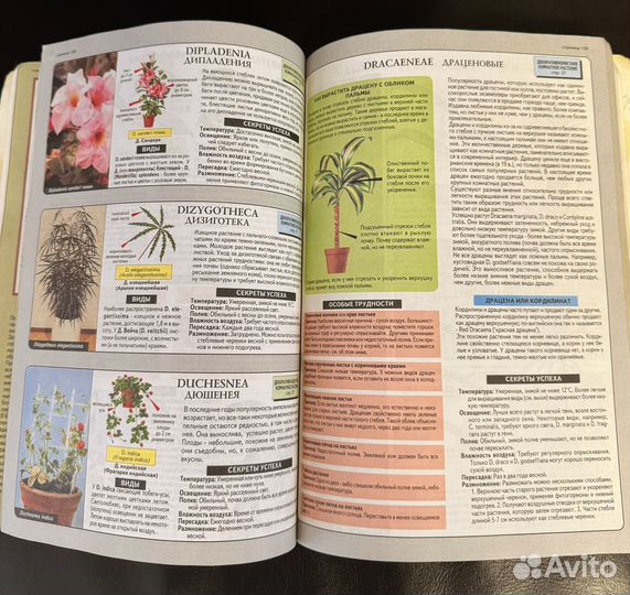 Хессайон 2 книги