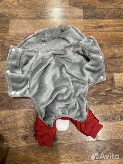 Одежда для маленьких пород собак