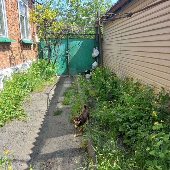 Дом 59,6 м² на участке 5 сот.