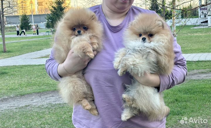 Малюсенький мальчик