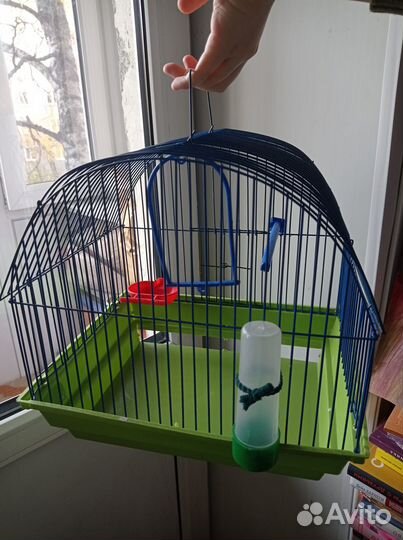 Клетка для попугая или канарейки