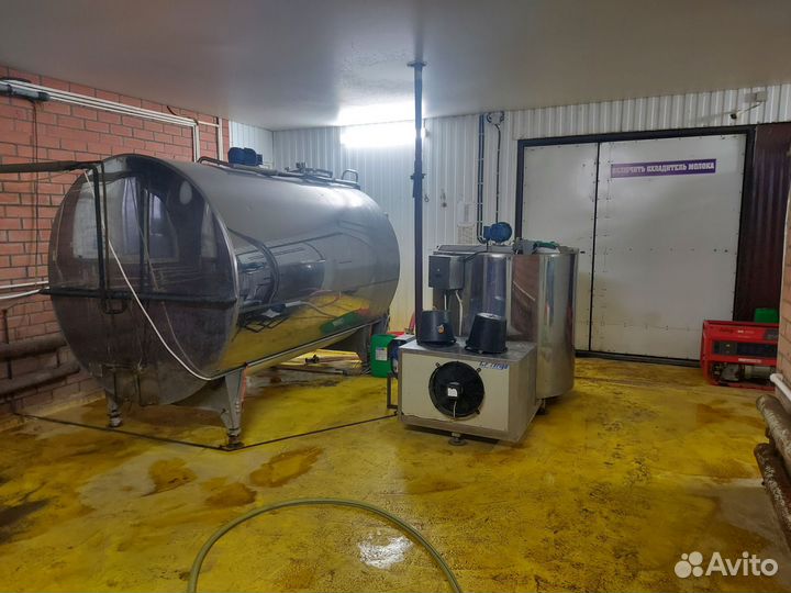 Молоко коровье