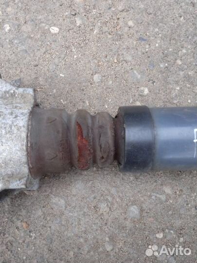 Амортизатор задний правый Ford Focus 2 хетчбэк