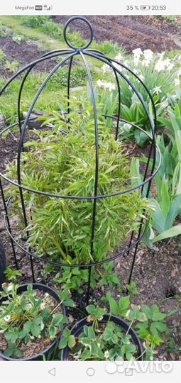 Опора для цветов