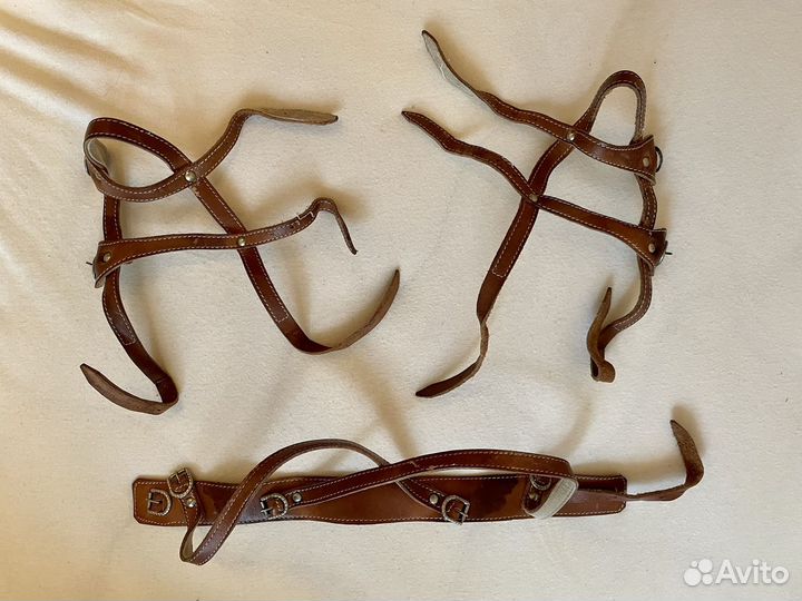 Стремена павлика