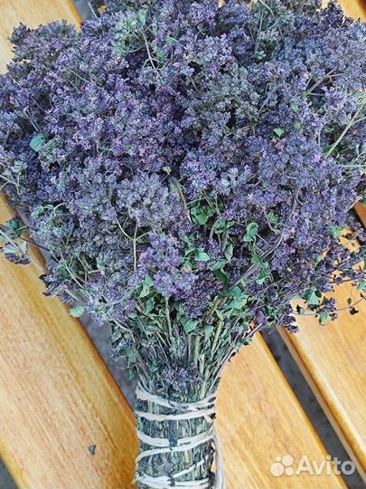 Лекарственные травы