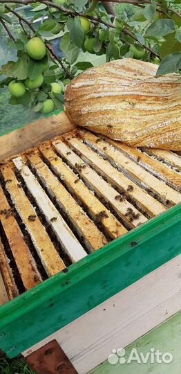 Пчелиный холстик, положок