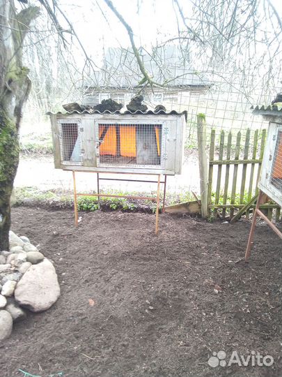 Клетка для кролика