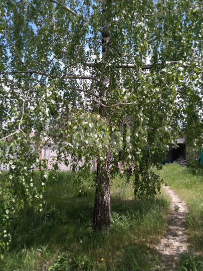 Продам помещение свободного назначения, 470 м²