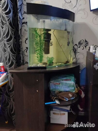 Аквариум