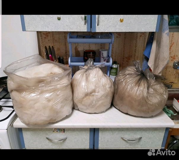 Собачья шерсть. вычес маламута