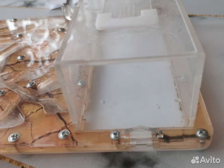 Муравьиная ферма без муравьев