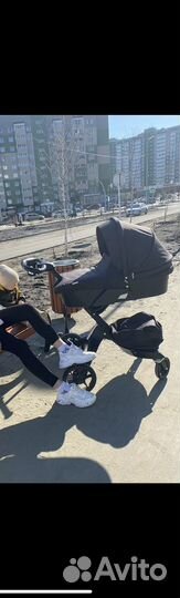 Коляска dsland 2 в 1