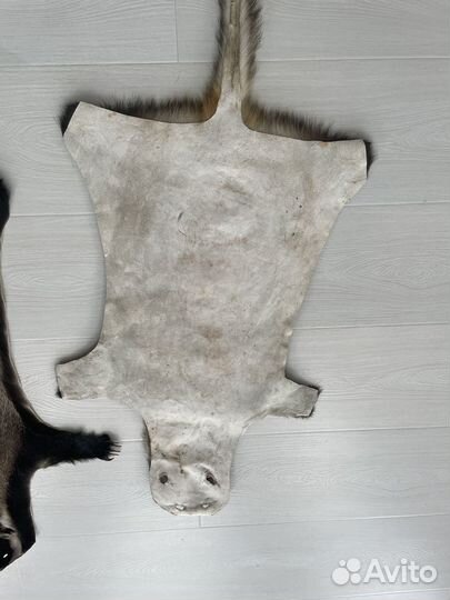 Шкуры барсука