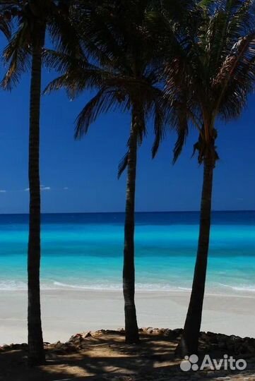 Горящие туры на кубу