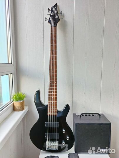 Бас гитара 5 струн Russtone +Бас комбо Ibanez +к-т
