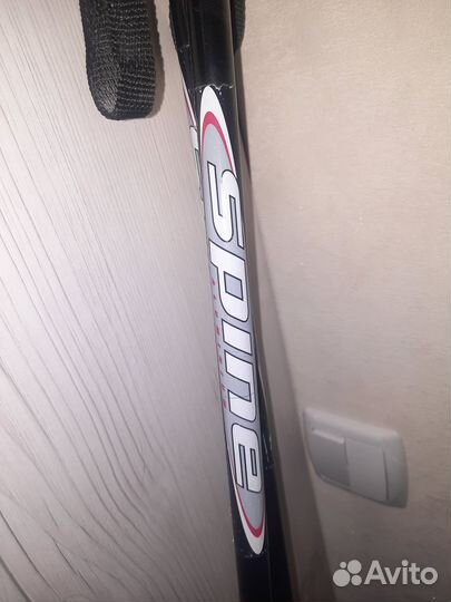 Лыжные палки spine 138 см