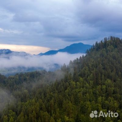 12.авг.23 Тур «Алтайская кругосветка» /рэ3011