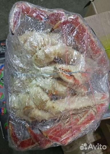 Подарочный камчатский краб, колючий (целый/лом)