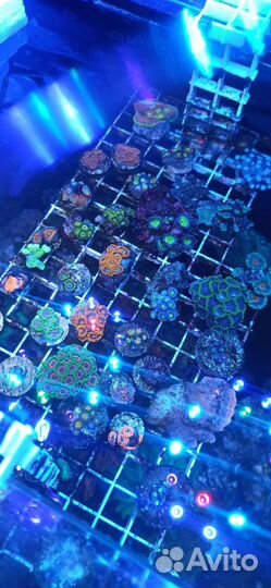 Уход за аквариумом